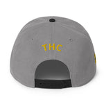 Astro Black-n-Yellow snapback