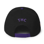 Astro LA Snapback
