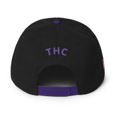 Astro LA Snapback