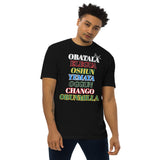 Orishas heavyweight tee